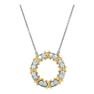Schlumberger for Tiffany & Co., Sixteen Stone Diamond Circle Pendant/Necklace For Sale