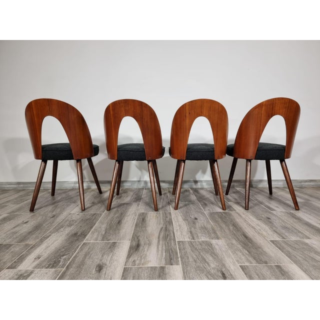 1960s Dining Chairs by Antonin Suman, 1960s, Set of 4 For Sale - Image 5 of 11