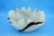 1950s 20th Century Iridato Milk Glass Pocket Emptier by Dino Martens for Toso-Murano, Italy, 1950s For Sale - Image 5 of 18