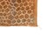 Brown Warm Honeycomb Hand-Knotted Wool Rug | 12'5" X 8'11" | One of a Kind For Sale - Image 8 of 9