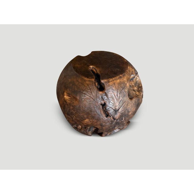 Contemporary Andrianna Shamaris Organic Charred Drum Teak Wood Side Table For Sale - Image 3 of 5