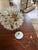 Mid-Century Modern Vintage Italian Murano Style Sputnik Chandelier in the Manner of Paolo Venini "Espirit", 28 Glass Florets For Sale - Image 3 of 18