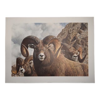 Carl Brenders "Rocky Kingdom - Bighorn Sheep" Signed Limited Edition Lithograph, 1992 For Sale