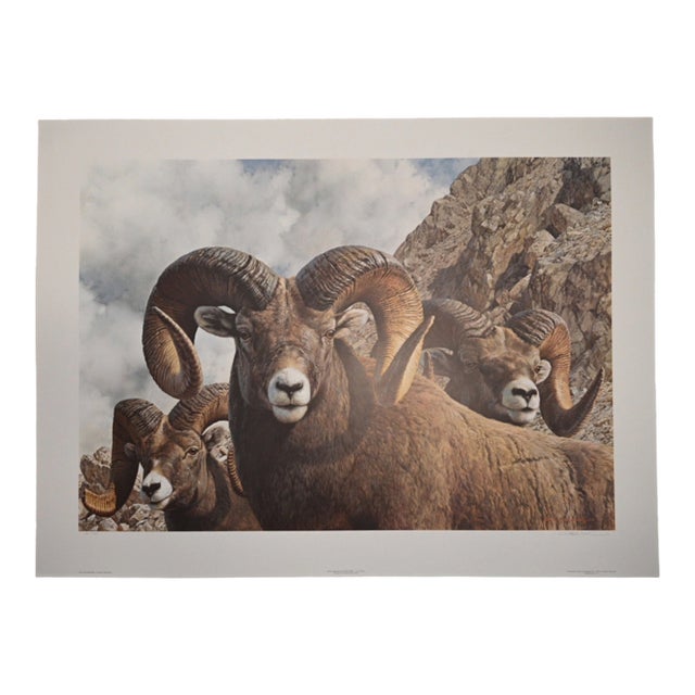Carl Brenders "Rocky Kingdom - Bighorn Sheep" Signed Limited Edition Lithograph, 1992 For Sale