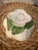 2000 - 2009 Vintage Vietri Handmade Italian White Pumpkin Covered Bowl With Lid For Sale - Image 5 of 9