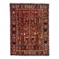 Shop Sono Rugs