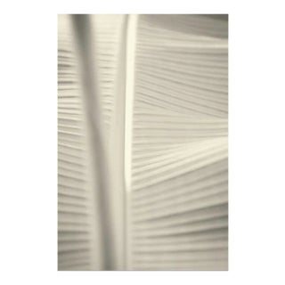 Stuart Möller, 2014, Archival Pigment Print For Sale