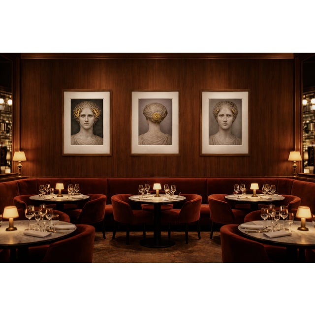 Atelier Aria Lumae the Athena Triptych Faces of Returning Light Fine Art Gallery Board Three Piece Set For Sale - Image 16 of 18