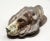 Antique Cold Painted Vienna Bronze Hound Dog Note Clip For Sale - Image 9 of 11
