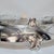 Antique Art Nouveau Silver-Plated Centerpiece by Dupper and Bernhold, 1920s For Sale - Image 12 of 15