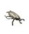 1950s Silver Insect Shaped Ashtray, France, 1950s For Sale - Image 5 of 14