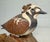This vintage hand-carved wooden bird decoy sculpture by Chas Derascavage is a unique piece of art that showcases exquisite...