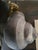 Ceramic Mid 20th Century Signed Anthony Freeman McFarlin Ceramic Snail Sculpture For Sale - Image 7 of 11