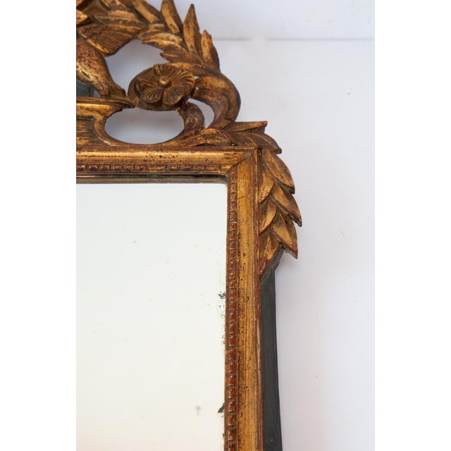 Forest Green Antique Louis XVI French Mirror, 18th Century For Sale - Image 8 of 12
