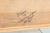 Contemporary Lauren Briere Lions, Tigers, Bears, and Oh My Bot Signed Oil Painting on Board For Sale - Image 3 of 5