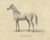 August Jäger, Horse Bairaktar, 1846, Paper Lithograph For Sale - Image 3 of 10