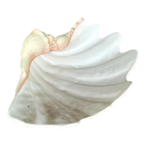 Vintage Coastal Glazed Ceramic Clam Shell