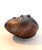 Brown Brown Lacquered Ceramic Tulip Vase / Centerpiece attributed to Giacomo Onestini, 1970s For Sale - Image 8 of 15