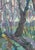 Forest Landscape Oil Painting, Ukrainian Art, 1960s For Sale - Image 4 of 6