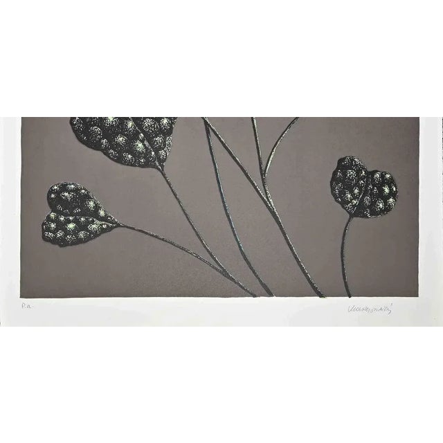 Fioritura del Tuttocuore is an original lithograph realized by Renzo Margonari in 1976 Hand-signed. Artist's proof. This...