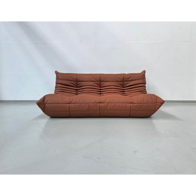 Animal Skin French Togo Sofa in Thick Cognac Cow Leather by Michel Ducaroy for Ligne Roset For Sale - Image 7 of 15