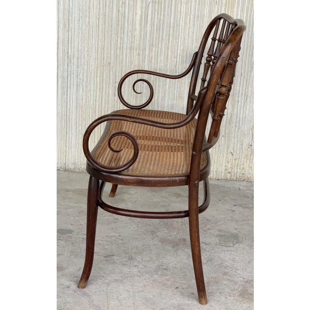 20th Century Bentwood Sofa in the Thonet Style, circa 1925, Caned Seat For Sale - Image 14 of 18
