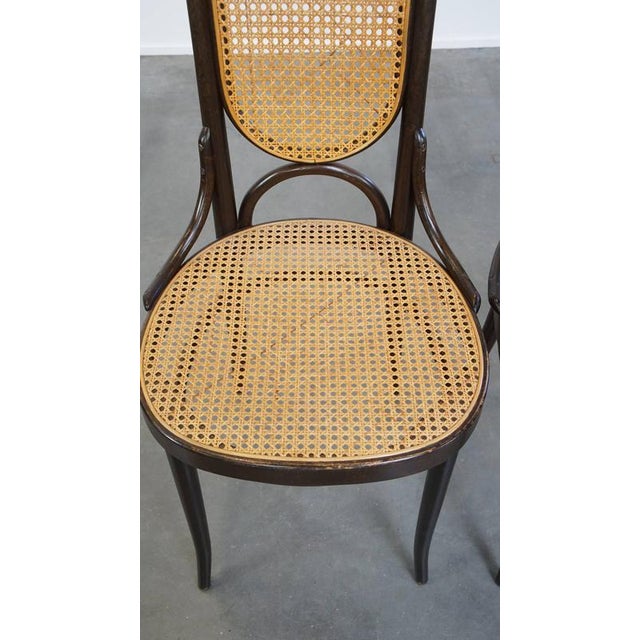 Set of Vintage Bentwood Dining Room Chairs by Michael Thonet For Sale - Image 5 of 13