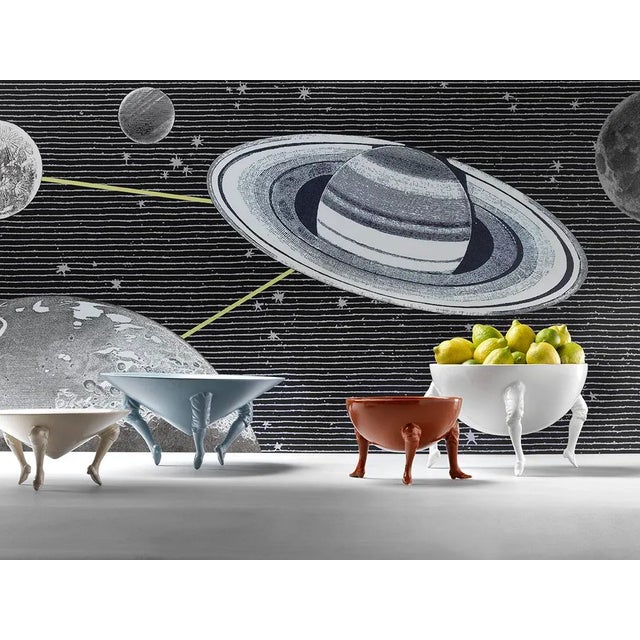 On tiptoe, original and elegant. Usable both as centerpieces and as vides-poches, they are called TIPTOE and are part of...