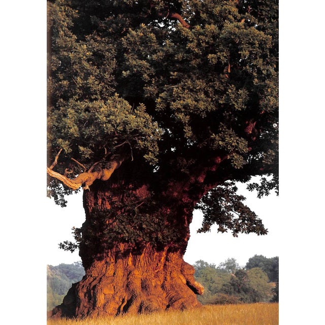 1990s "Royal Landscape: The Gardens and Parks of Windsor" 1997 Roberts, Jane For Sale - Image 5 of 12