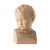Earthenware Bust of a Boy, 19th Century For Sale - Image 6 of 6