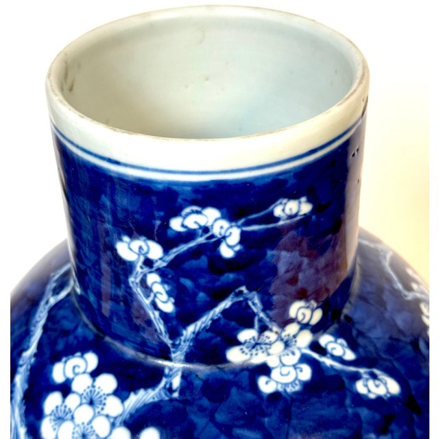 Chinese Blue & White 'Prunus & Birds' Jar/Vase & Cover Earlier Qing Dynasty For Sale - Image 9 of 12