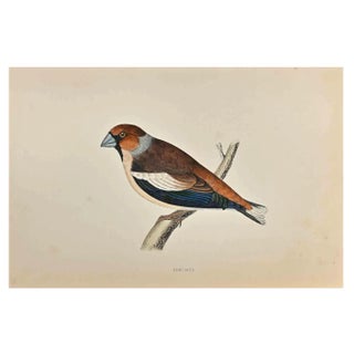 Alexander Francis Lydon, Hawfinch, Woodcut Print, 1870 For Sale