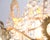 Antique Crystal Chandelier in Gilt Bronze with Louvre Style Decorations, 1890s For Sale - Image 3 of 12