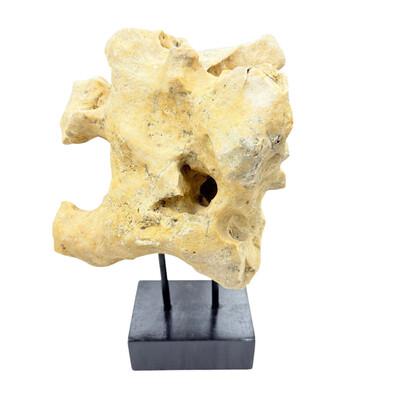 Tribal Indonesian Coral Stone On Teak Stand For Sale - Image 3 of 5