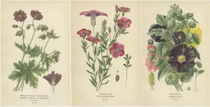 Victorian Botanical Splendor, 1896, Paper, Set of 3
