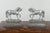 Metal Early 20th Century Pair of English Turn of the Century Metal Bookends Depicting Prancing Horses For Sale - Image 7 of 12