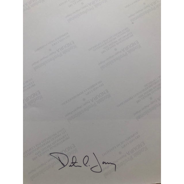 Peter C. Jones 1, Pink Cosmo, Large Format Photo 24X20 Color Photograph Beach House, 2004 For Sale - Image 4 of 5