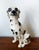 Vintage Ceramic Dalmatian Dog, Italy, 1970s For Sale - Image 4 of 14