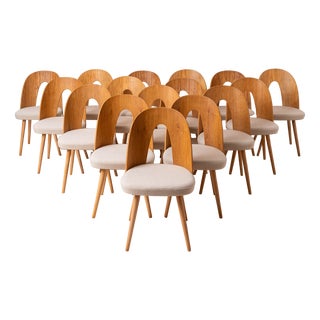 Mid-Century Dining Chairs attributed to A. Suman, 1960s, Set of 16 For Sale