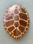 Vintage Monumental Faux Tortoise Shell For Sale In West Palm - Image 6 of 13
