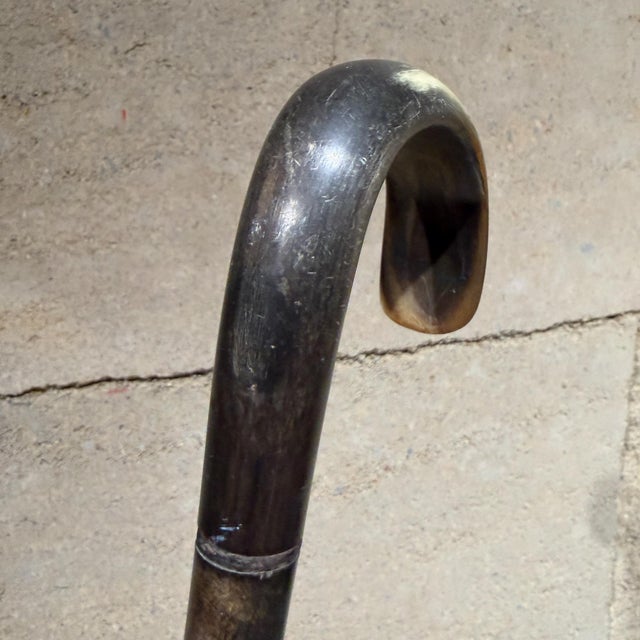 Antique Walking Cane Featuring Shaped Horn Handle Stacked Horn Shaft For Sale - Image 12 of 13