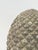 Gray English Garden Stone Statuary Pinecone Finials From England - Two Available For Sale - Image 8 of 9