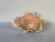 Vintage Hand Carved Pink Marble Fish Sculpture For Sale - Image 12 of 13