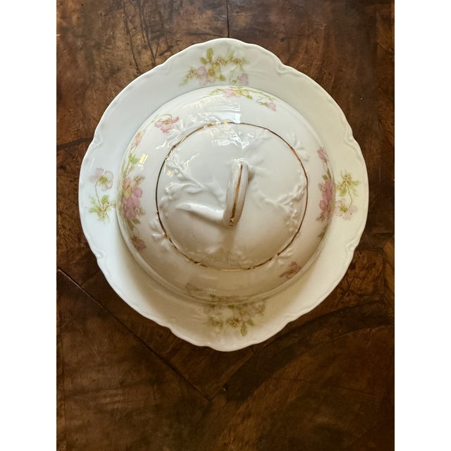 1900 - 1909 Antique Oeg Royal Austria Porcelain Covered Butter Dish Pink Floral Gutherz 1899 to 1918 For Sale - Image 5 of 12