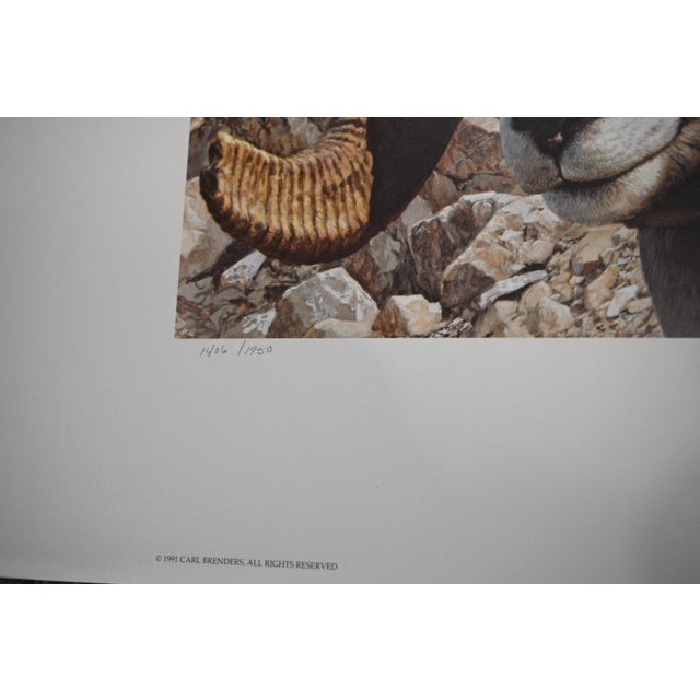 Carl Brenders "Rocky Kingdom - Bighorn Sheep" Signed Limited Edition Lithograph, 1992 For Sale In Denver - Image 6 of 10