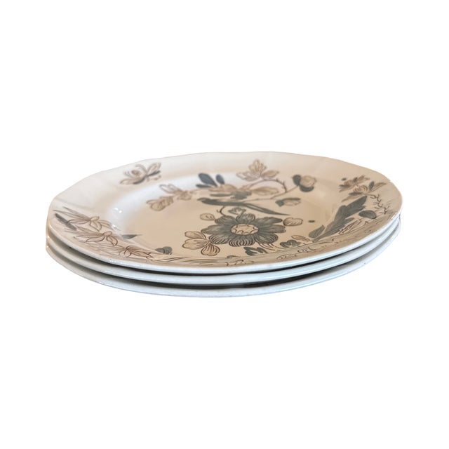 Beautiful set of three vintage Adams India Parrot Gray Real English Ironstone plates featuring an elegant Chinoiserie-...