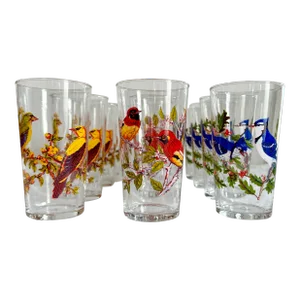 Vintage Juice Glasses With Colorful Birds - Set of 12