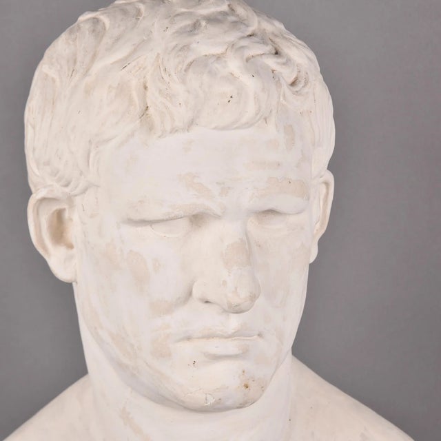Vintage Plaster Bust of Marc Anthony For Sale - Image 9 of 11