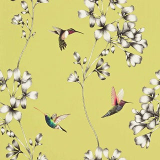 Harlequin Amazilia Wallpaper in Gooseberry - a Sample For Sale