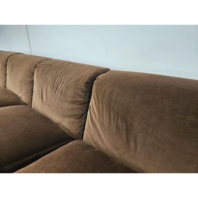 D120 Five-Seater Sofa by Valeria Borsani and Alfredo Bonetti for Tecno, 1966 For Sale - Image 10 of 16